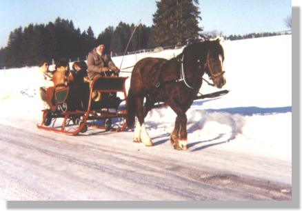 Kutschfahrt fr die ganze Familie